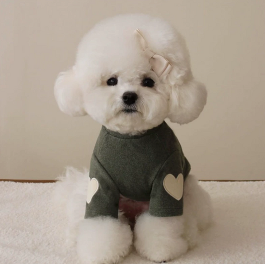 Autumn and Winter Teddy pet clothing (PC-0001)