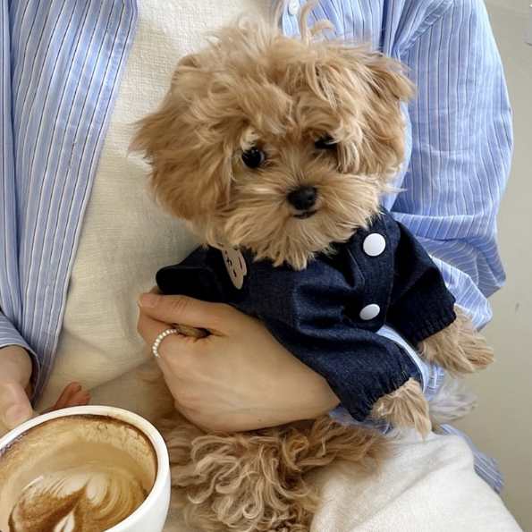 博美犬秋冬季牛仔連帽外套 (PC0003)