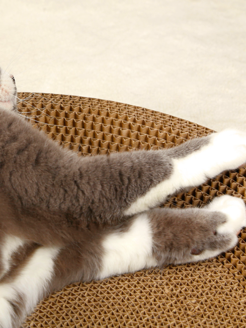 多功能貓咪抓板和猫床 B款(PS-001B)