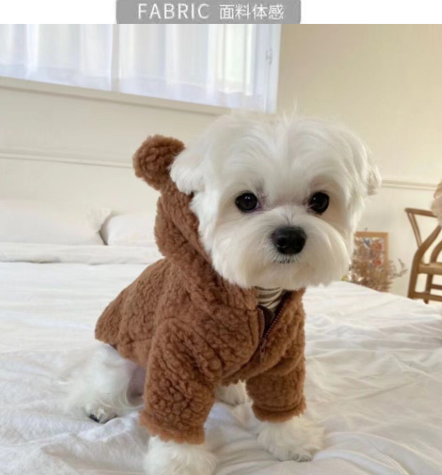 Korean INS Bear Hoodie Jacket with hats (PC-0005)