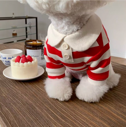 春夏條紋輕薄 POLO 衫（PC-0006）