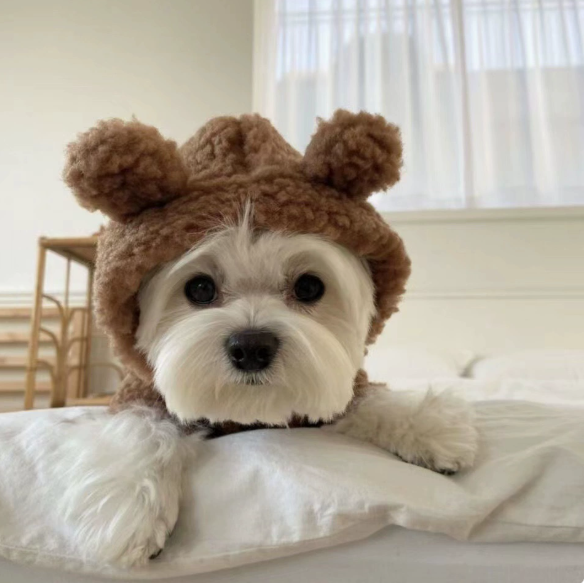 韓國INS熊圖案連帽外套（PC-0005）