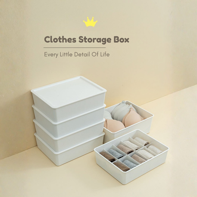 Underwear Organizer Box | Drawer-Style 3-in-1 Storage for Bras, Socks & Panties (HS-BO-0002)