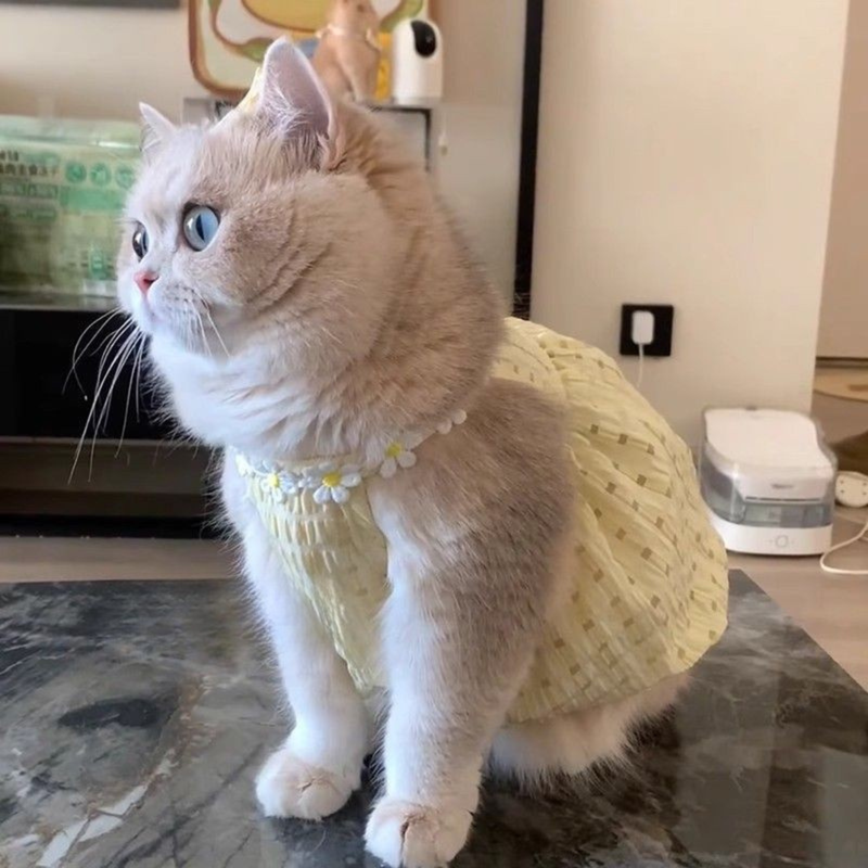 Yellow Summer Pet Dress – Lightweight, Anti‑Shedding, Cute Spring/Summer Style (PC-PCS-0004)