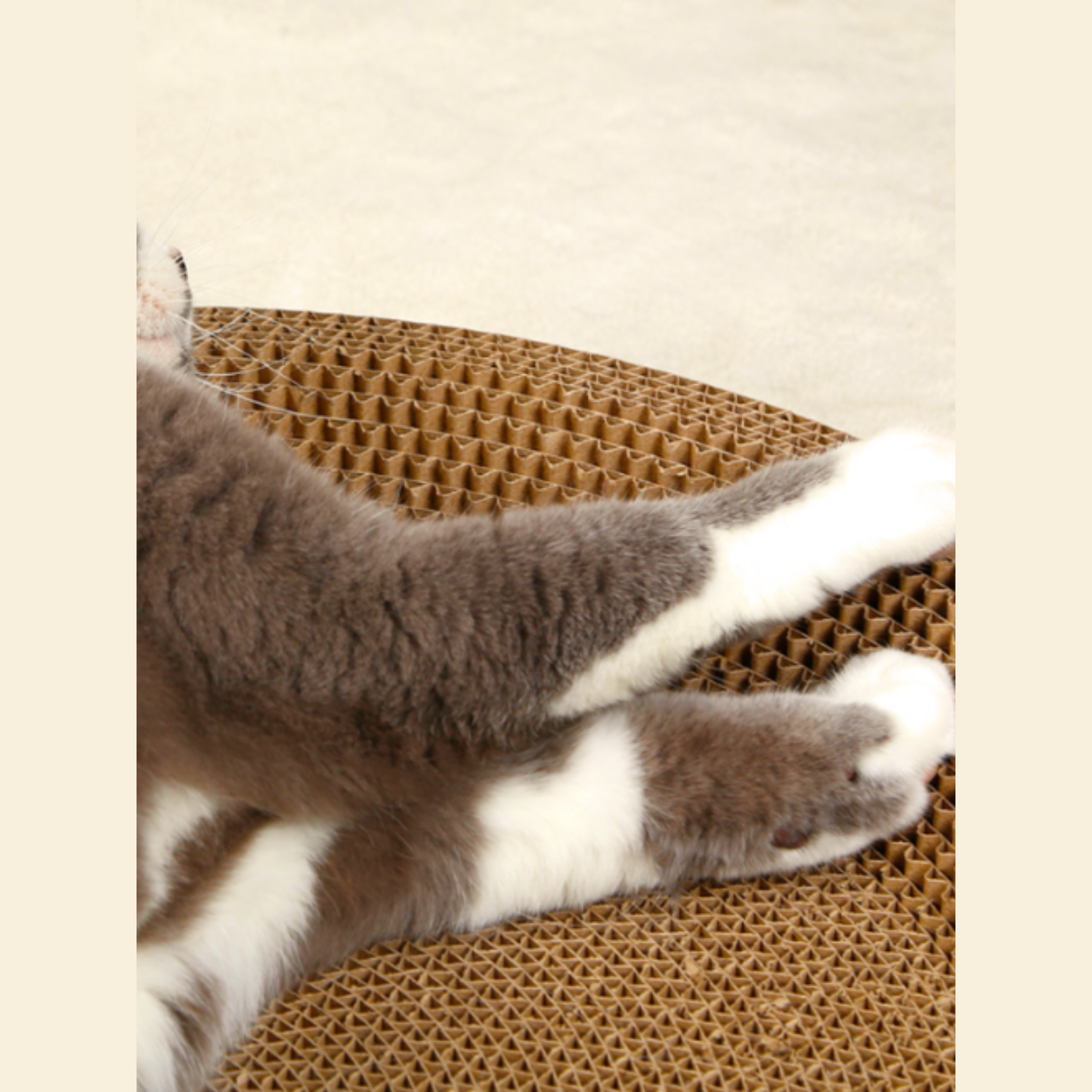 All-in-One Cat Scratcher & Bed (PCS-0002)