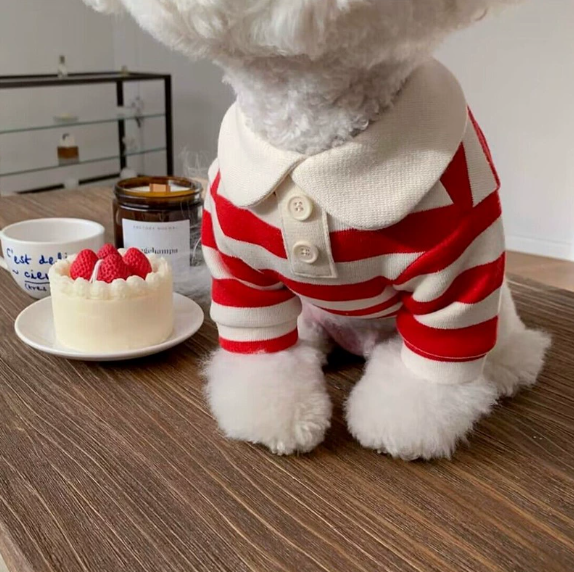 春夏條紋輕薄 POLO 衫（PC-0006）