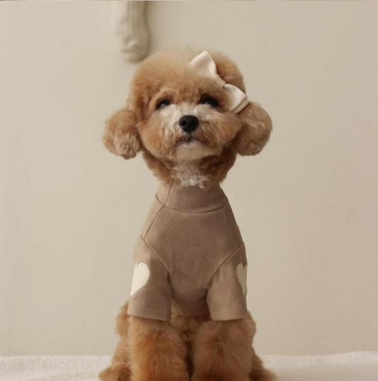 Autumn and Winter Teddy pet clothing (PC-0001)