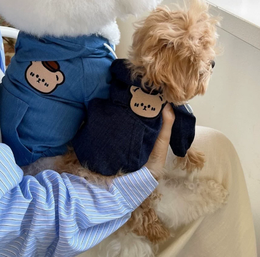 Autumn and winter denim hooded jacket for Pomeranians (PC-0002)