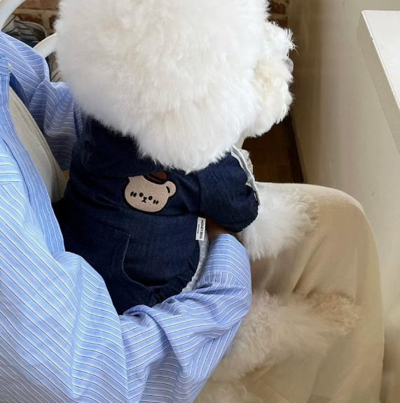 博美犬秋冬季牛仔連帽外套 (PC0003)