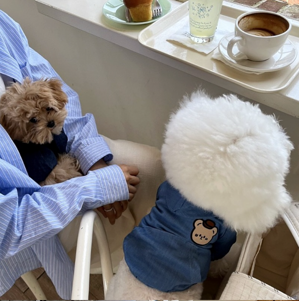 博美犬秋冬季牛仔連帽外套 (PC0003)