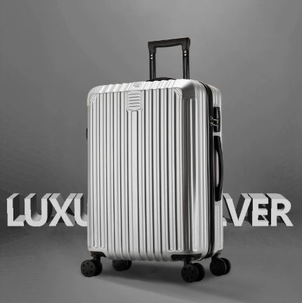 Multifunctional Suitcase – Anti-Collision, Multi-Function Handle (Luxury Silver) (TR-HARD-0061)