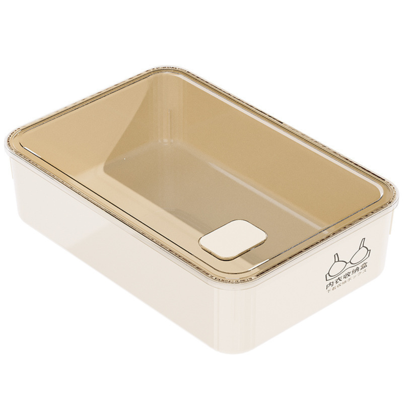 Household Underwear Storage Box – Dustproof with Lid, Compartment Organizer for Socks & Bras (HS-BO-0005)