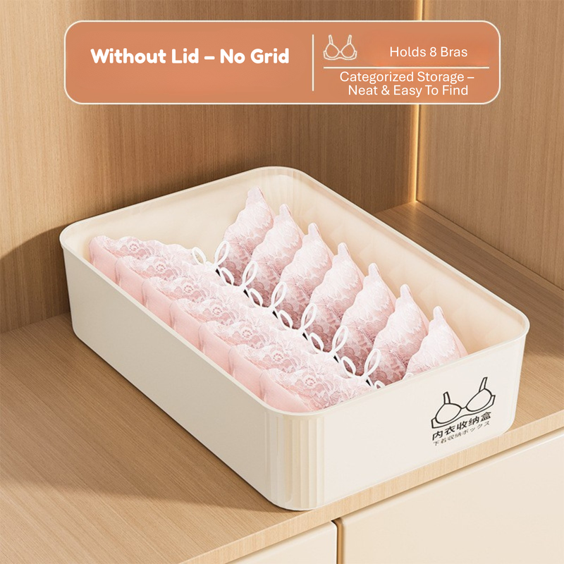 Household Underwear Storage Box – Dustproof with Lid, Compartment Organizer for Socks & Bras (HS-BO-0005)