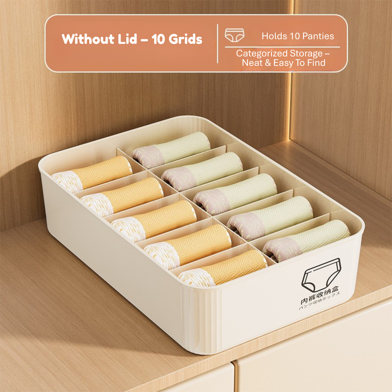 Household Underwear Storage Box – Dustproof with Lid, Compartment Organizer for Socks & Bras (HS-BO-0005)