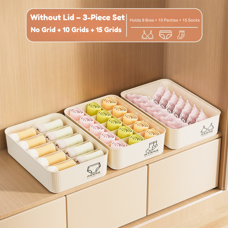 Household Underwear Storage Box – Dustproof with Lid, Compartment Organizer for Socks & Bras (HS-BO-0005)