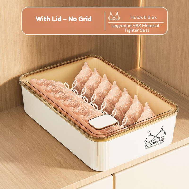 Household Underwear Storage Box – Dustproof with Lid, Compartment Organizer for Socks & Bras (HS-BO-0005)