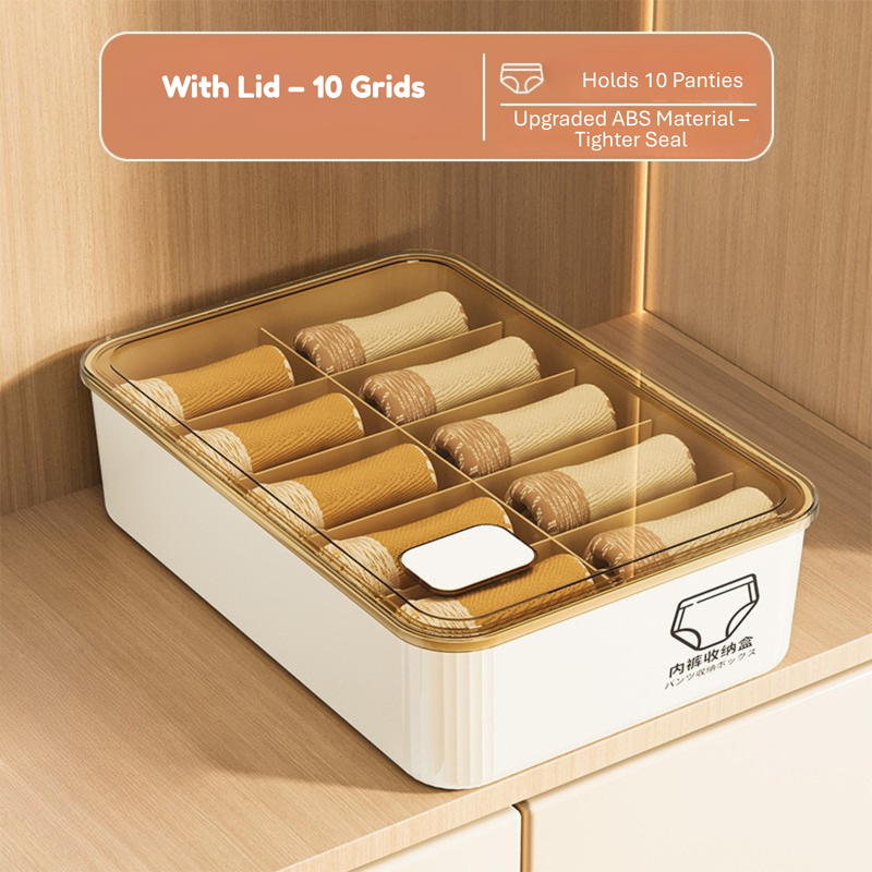Household Underwear Storage Box – Dustproof with Lid, Compartment Organizer for Socks & Bras (HS-BO-0005)