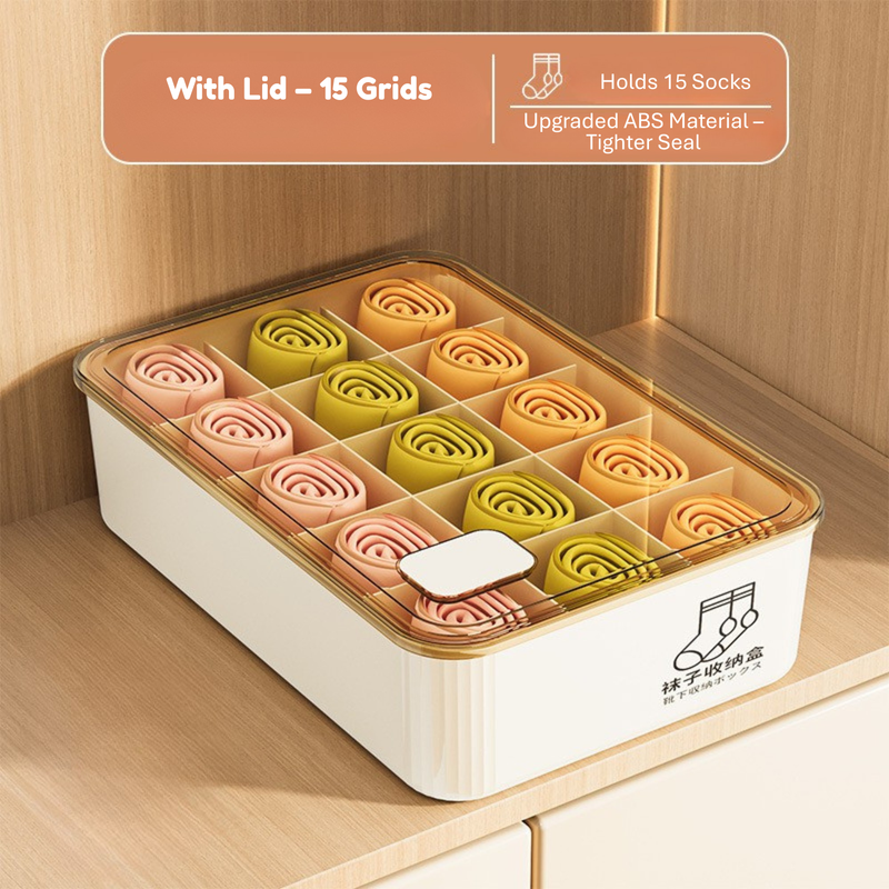 Household Underwear Storage Box – Dustproof with Lid, Compartment Organizer for Socks & Bras (HS-BO-0005)