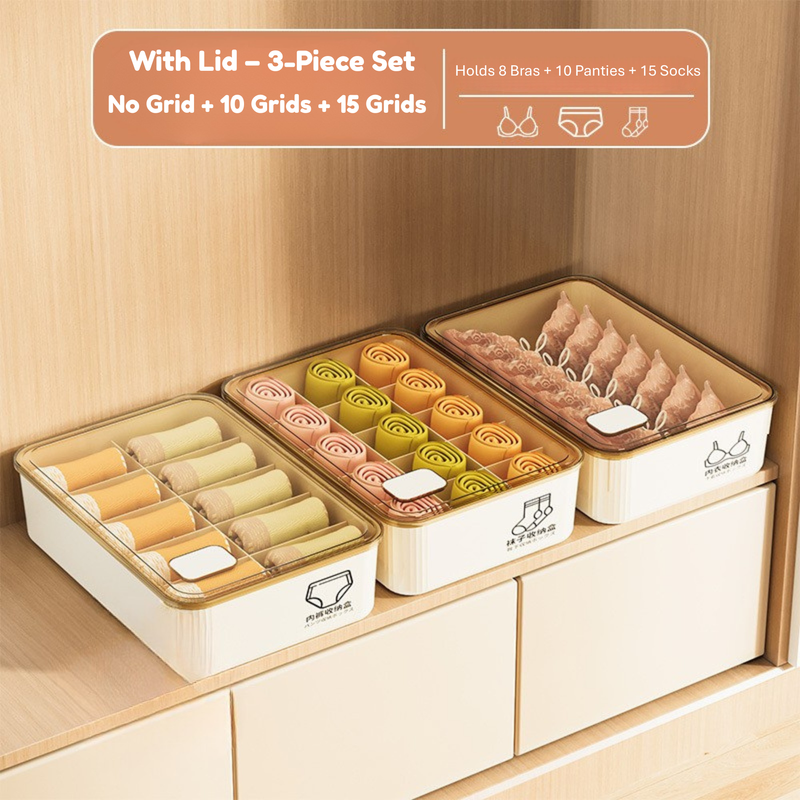 Household Underwear Storage Box – Dustproof with Lid, Compartment Organizer for Socks & Bras (HS-BO-0005)
