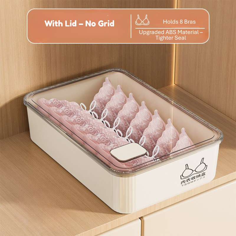 Household Underwear Storage Box – Dustproof with Lid, Compartment Organizer for Socks & Bras (HS-BO-0005)