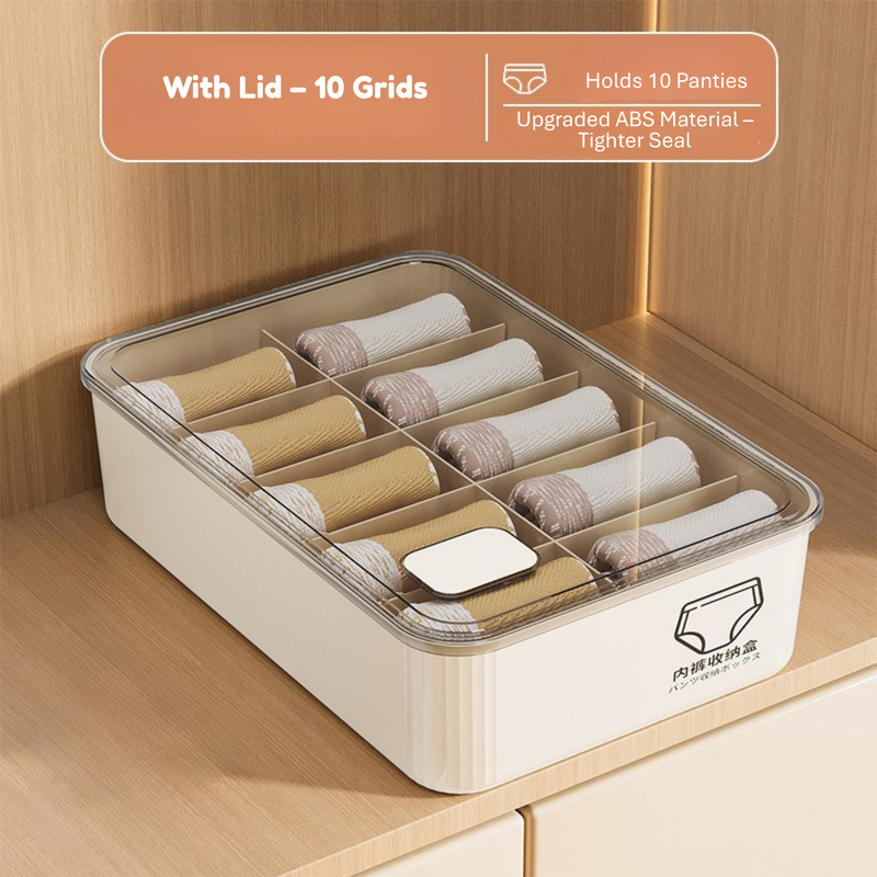 Household Underwear Storage Box – Dustproof with Lid, Compartment Organizer for Socks & Bras (HS-BO-0005)