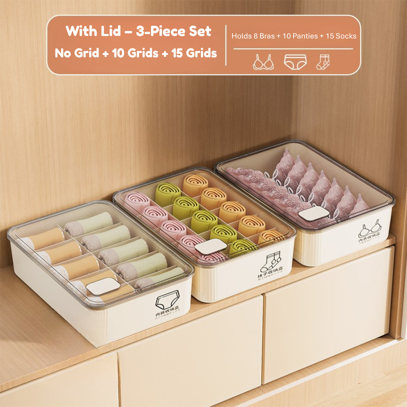 Household Underwear Storage Box – Dustproof with Lid, Compartment Organizer for Socks & Bras (HS-BO-0005)